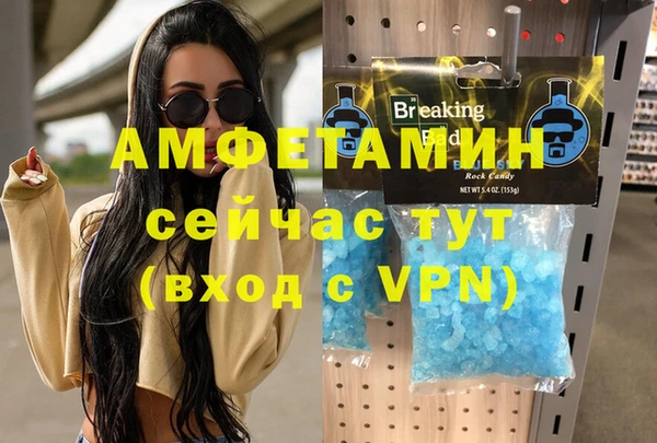 прущие грибы Абаза