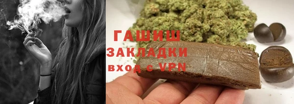 прущие грибы Абаза