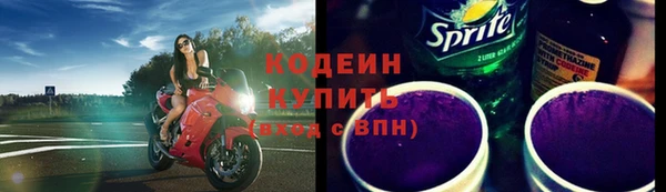 прущие грибы Абаза