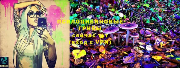 гидропоника Алзамай